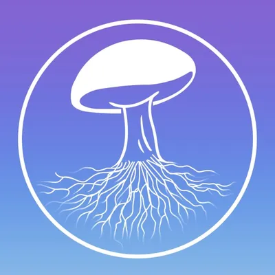 HighVibe Mushrooms logo