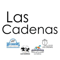 Lascade logo