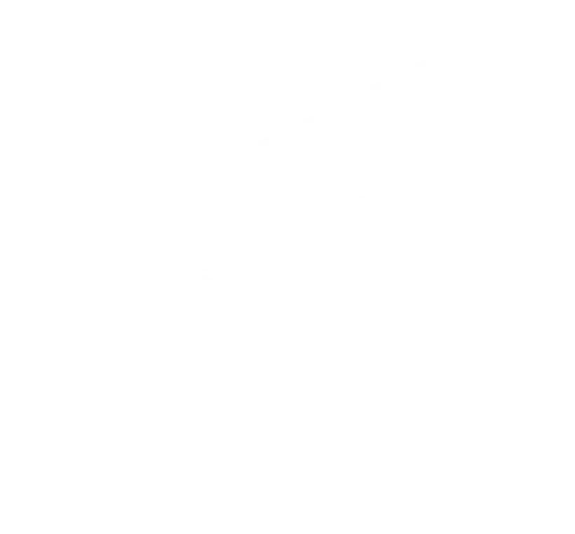 Waldo logo