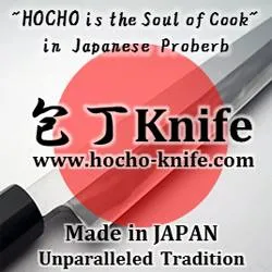 Hocho Knife