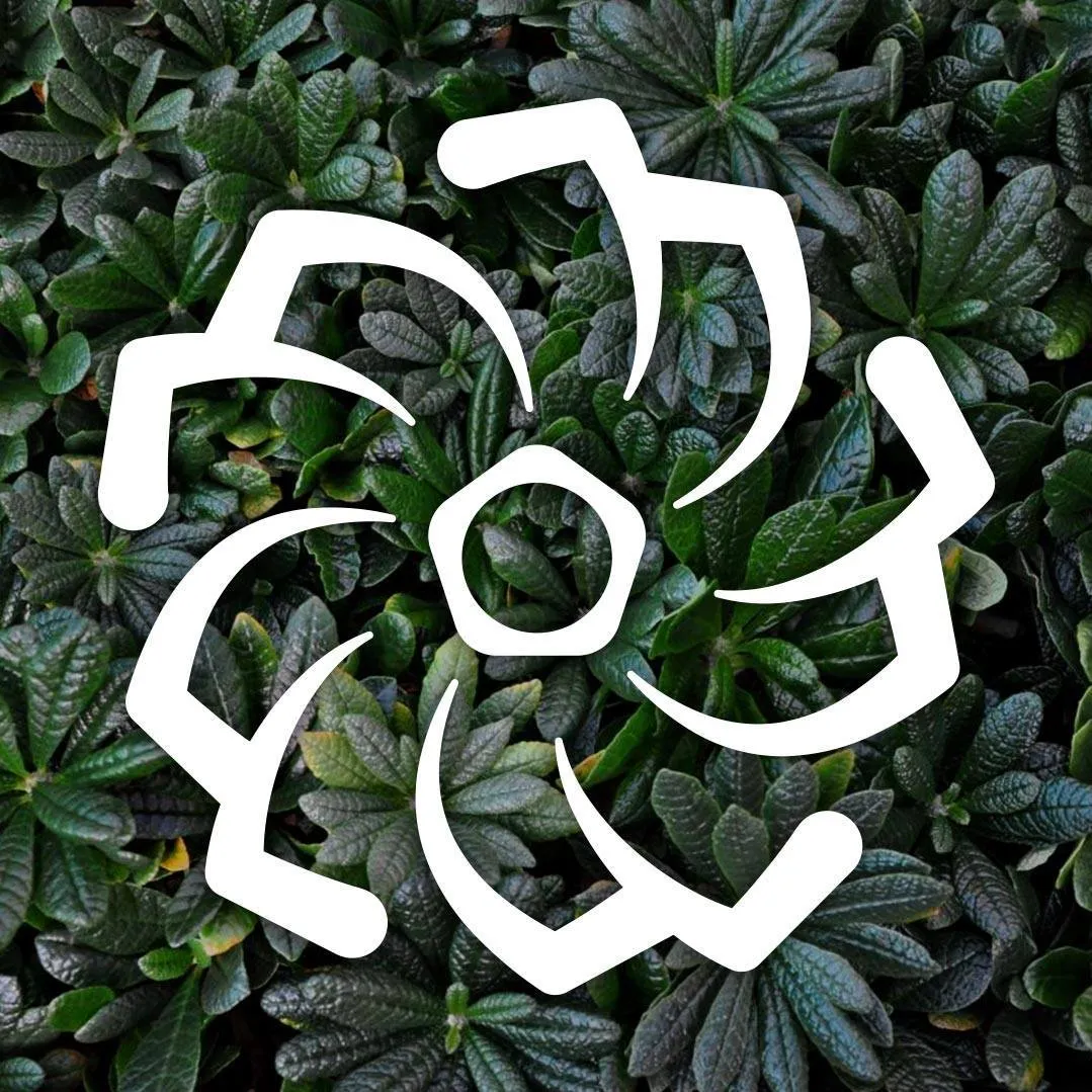 Hojnysucculents