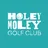 Holey Moley Golf Club logo