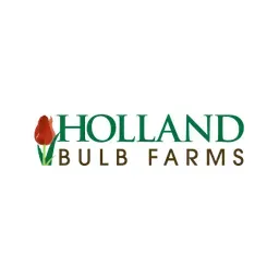Hollandbulbfarms