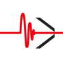Logo Holland Shielding Systems