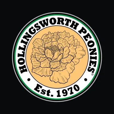 Hollingsworthpeonies