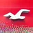 Hollister Co. logo