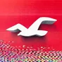 Hollister Co. logo