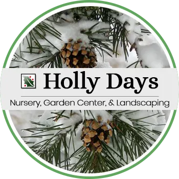 Holly Days Nursery (Shop)