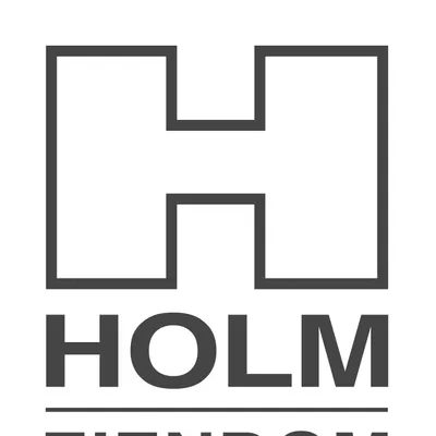 FRICH & HOLM INVEST AS