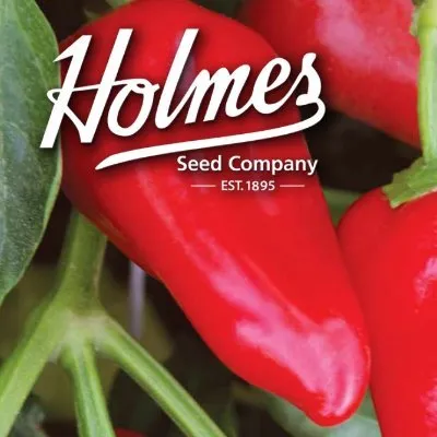 Holmesseed