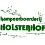 Logo Kampeerboerderij Holsterhof