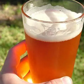 Homebrewfinds