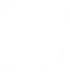 Honeylove light logo