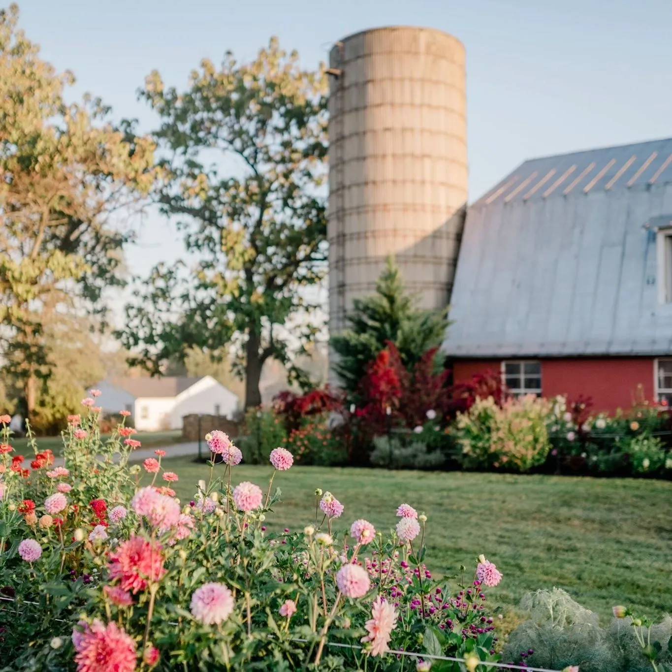Hopeflowerfarm
