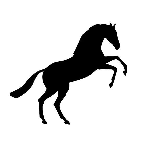 Rennbahn Hoppegarten GmbH & Co. KG