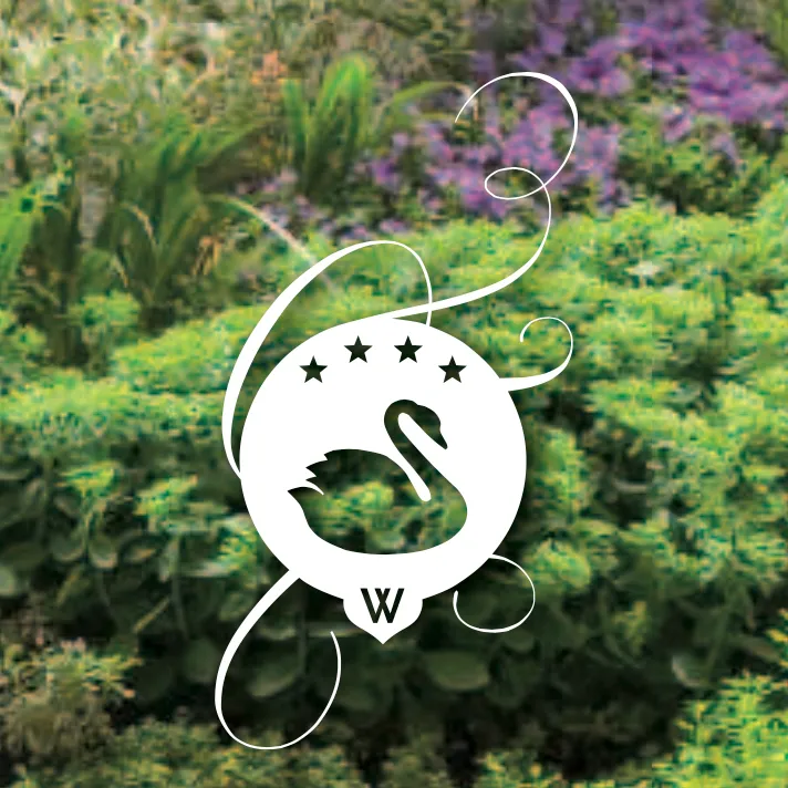 Hotel-Restaurant Schwanen logo