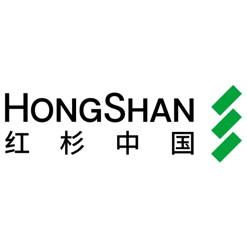 HSG logo