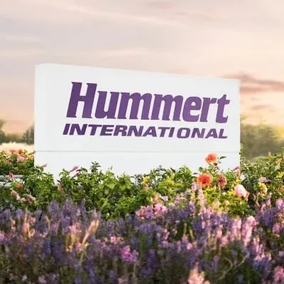 Hummert