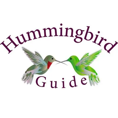 Hummingbird-guide