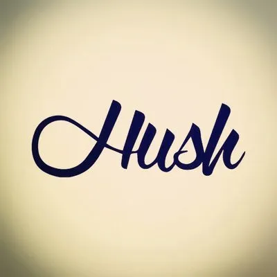 hushlifeboutique.com logo