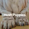 Hush Puppies UK logo
