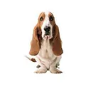 Hush Puppies logo