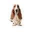 Hush Puppies logo