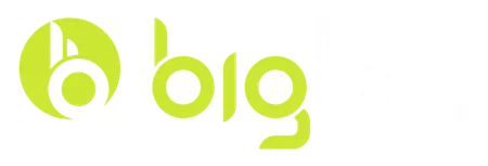 ibigboi.com light logo