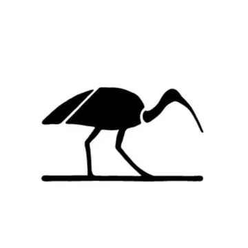 Ibis Reproductive Health Logo