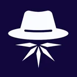 Ice Open Network logo/icon