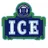 Ice House Museum logo