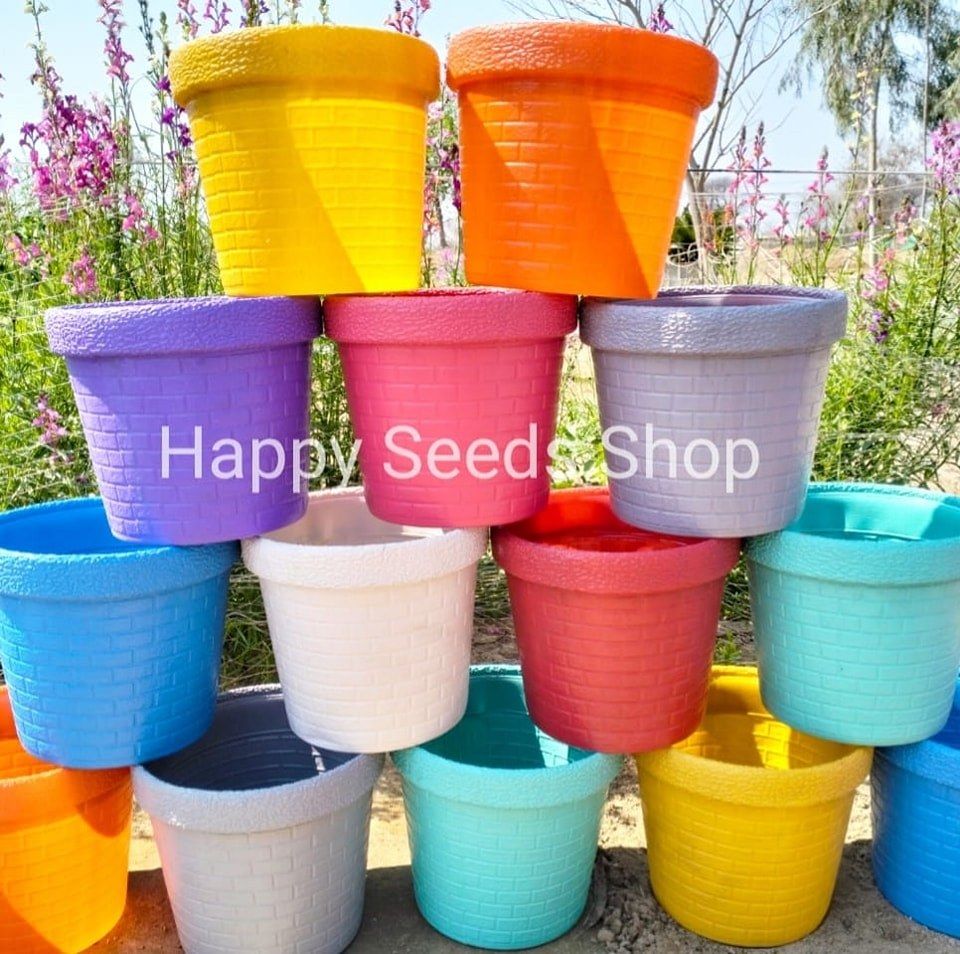 Happy seeds shop's icon