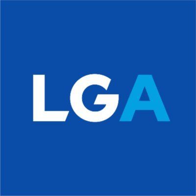 Lake George Assn.'s icon