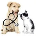 Manukau After Hours Veterinary Clinic's icon
