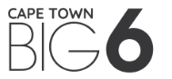 Cape Town Big 6's logos