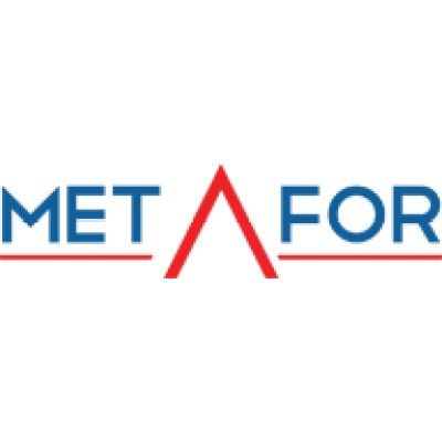 Metafor's icon