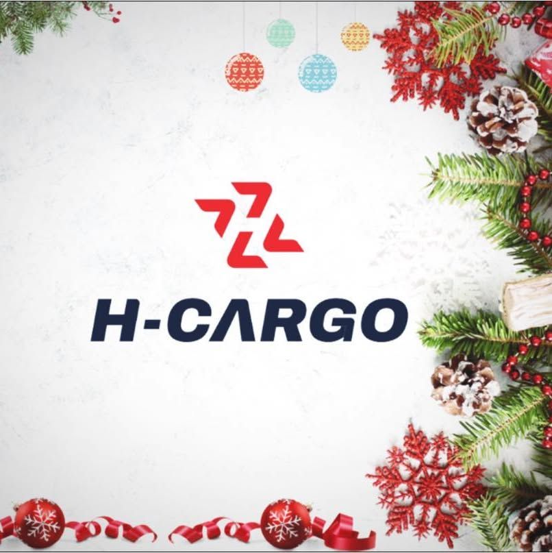 H-Cargo International Logistics's icon