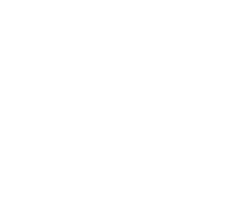 Pura Vida Ride's logos