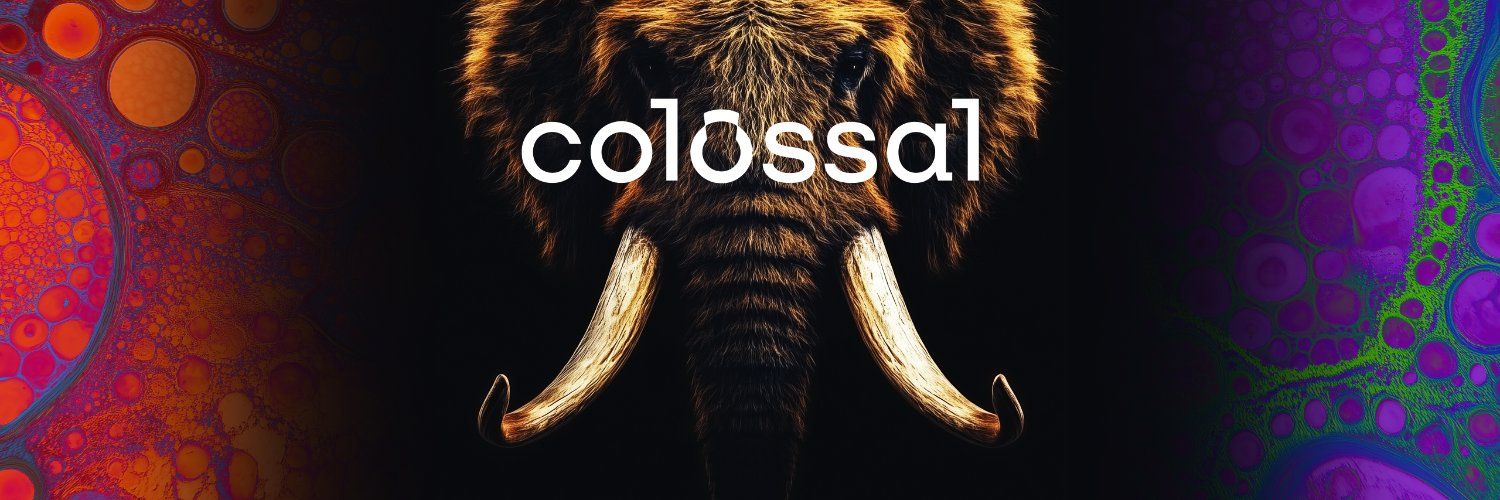 Colossal Rippe Logo Banner