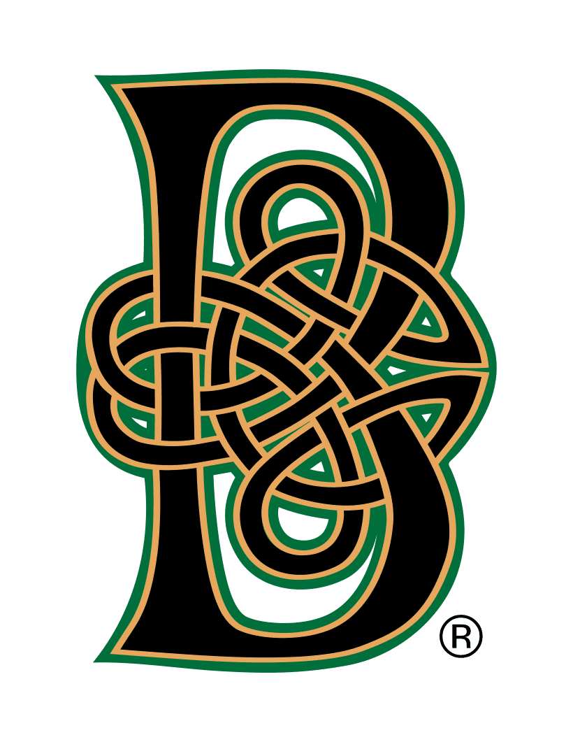 Boyne Capital