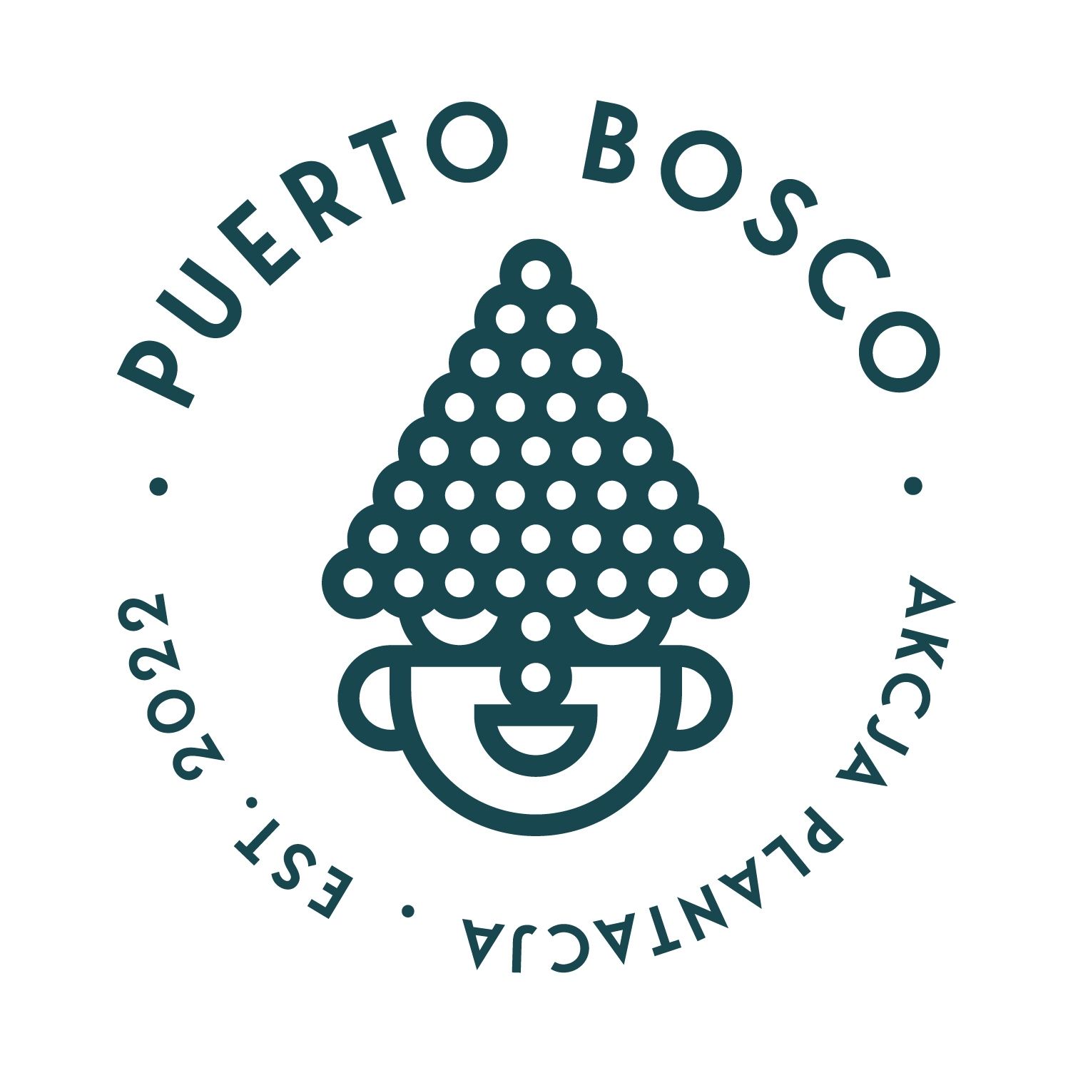 Puerto Bosco's icon