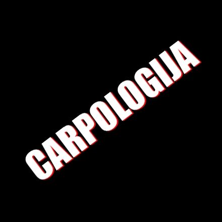  CARpologija's icon