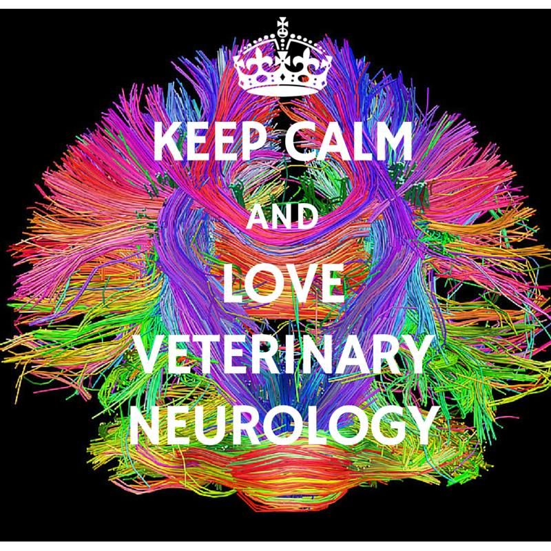 Veterinary Neurology's icon