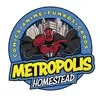 metropoliscomicsmiami.com's icon