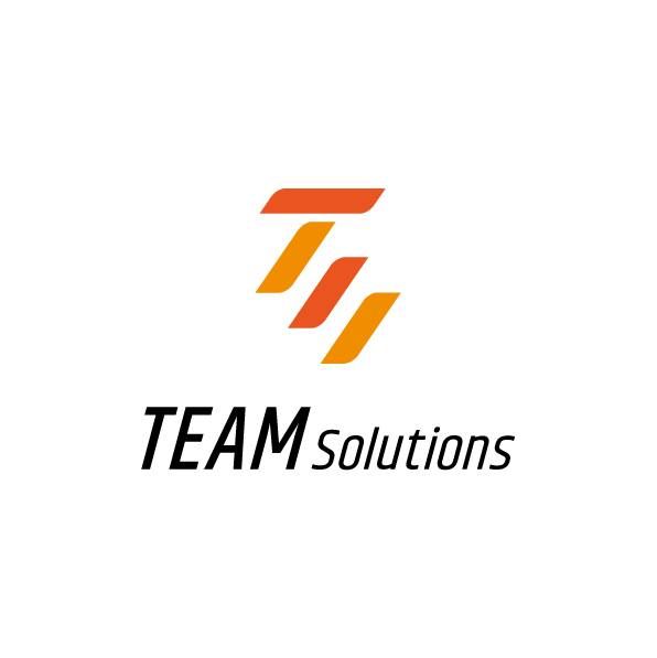 TEAM Solutions Vietnam's icon