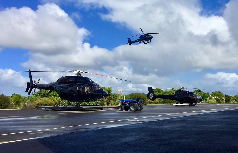 Advanced Flight Logo & Brand Assets (SVG, PNG and vector) Brandfetch