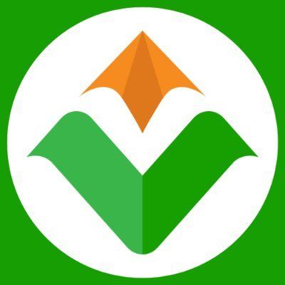 Vietgoing.com's icon