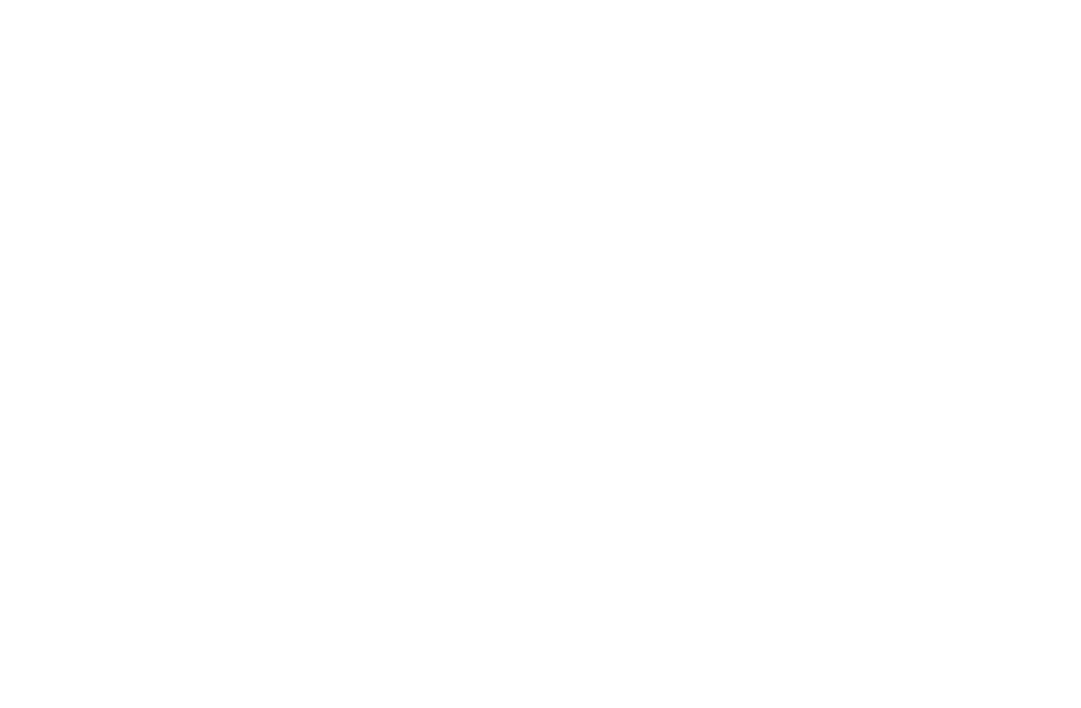 INEL's logos