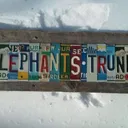 Elephant's Trunk Flea Market | New Milford CT's icon
