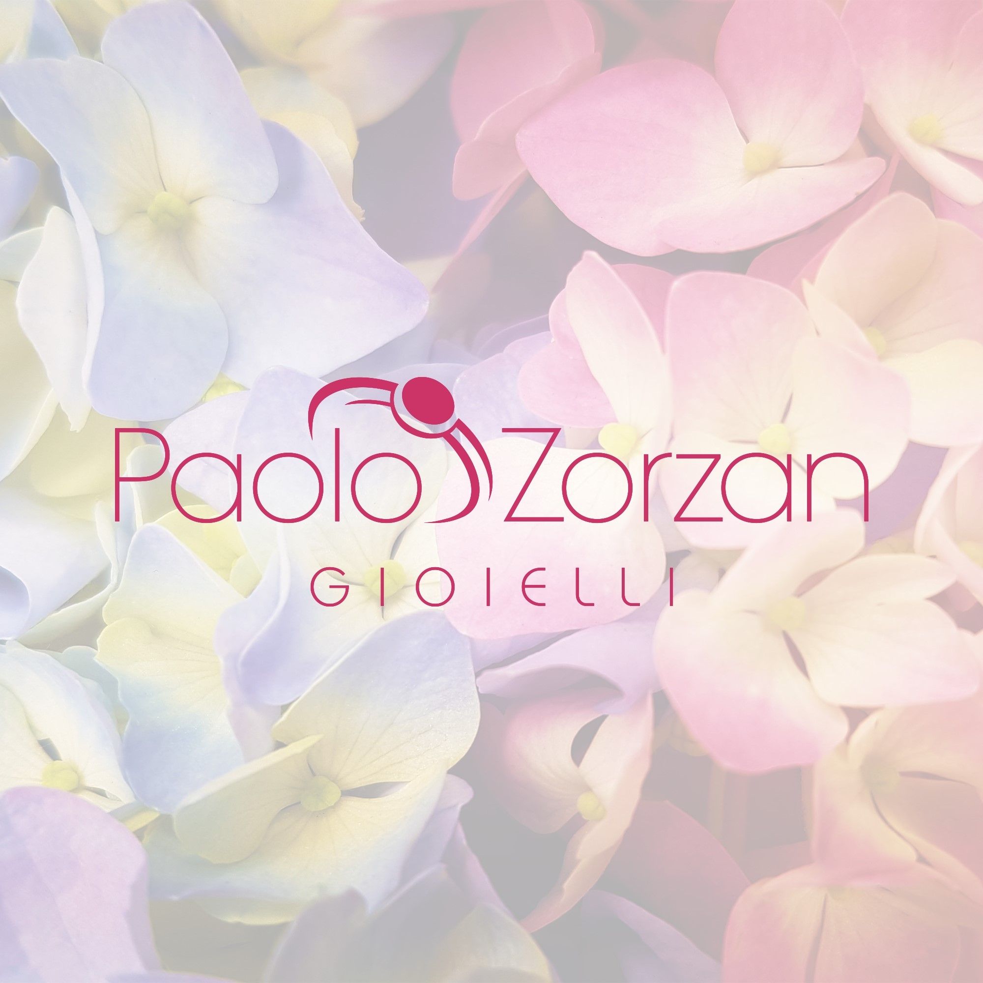 paolozorzanstore.it's icon